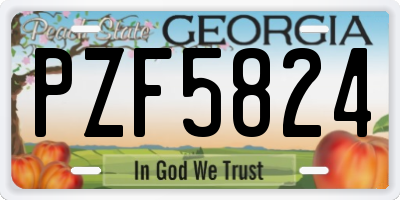 GA license plate PZF5824