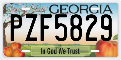 GA license plate PZF5829