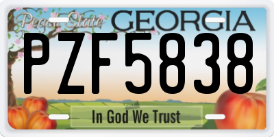 GA license plate PZF5838