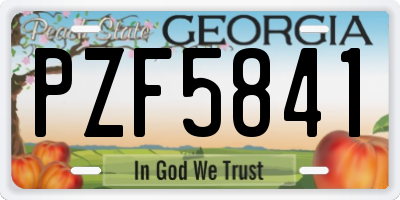 GA license plate PZF5841