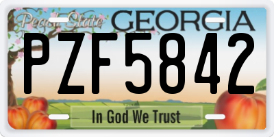 GA license plate PZF5842