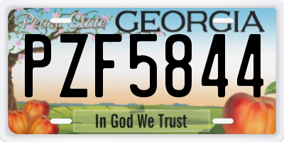 GA license plate PZF5844