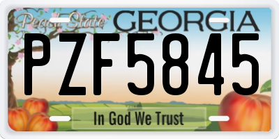 GA license plate PZF5845