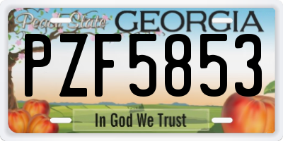 GA license plate PZF5853