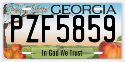 GA license plate PZF5859