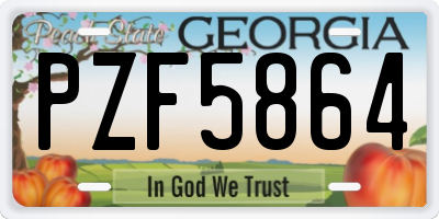 GA license plate PZF5864
