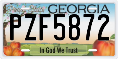 GA license plate PZF5872