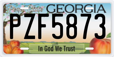 GA license plate PZF5873