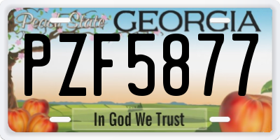 GA license plate PZF5877