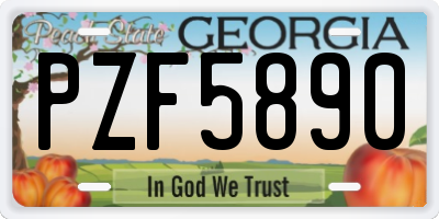 GA license plate PZF5890