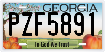 GA license plate PZF5891