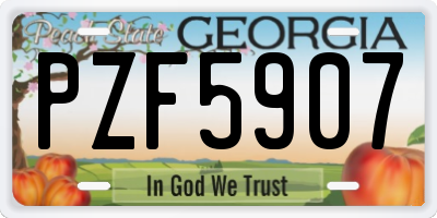 GA license plate PZF5907
