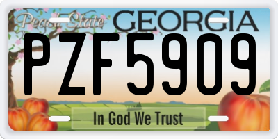 GA license plate PZF5909