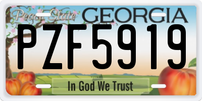 GA license plate PZF5919