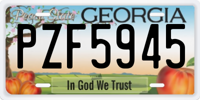 GA license plate PZF5945