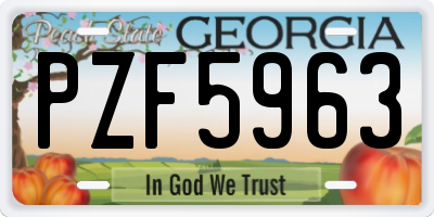 GA license plate PZF5963