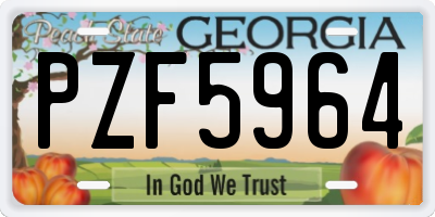 GA license plate PZF5964