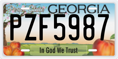 GA license plate PZF5987