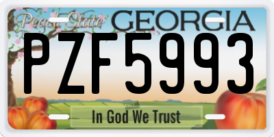 GA license plate PZF5993