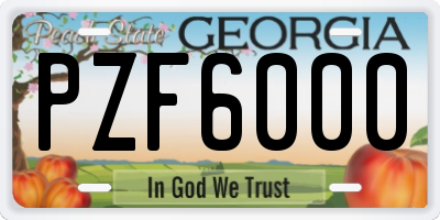 GA license plate PZF6000