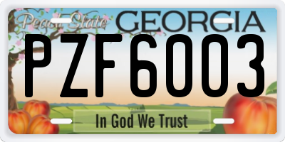 GA license plate PZF6003