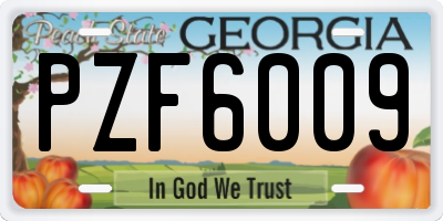 GA license plate PZF6009