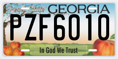GA license plate PZF6010