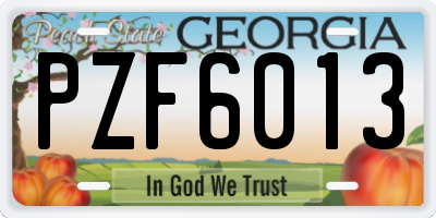 GA license plate PZF6013