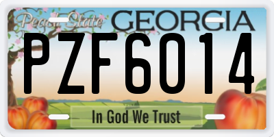 GA license plate PZF6014