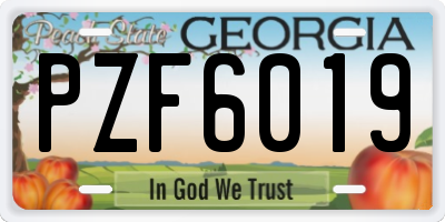 GA license plate PZF6019