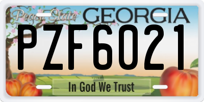 GA license plate PZF6021