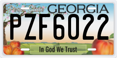 GA license plate PZF6022