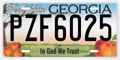 GA license plate PZF6025
