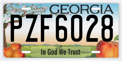 GA license plate PZF6028