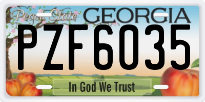 GA license plate PZF6035