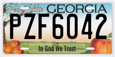 GA license plate PZF6042