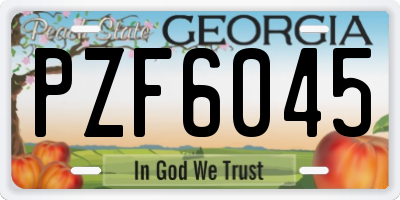 GA license plate PZF6045