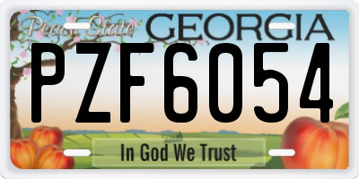 GA license plate PZF6054
