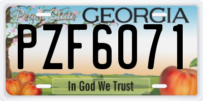 GA license plate PZF6071