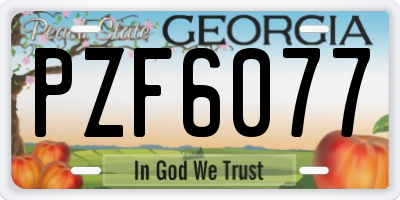 GA license plate PZF6077