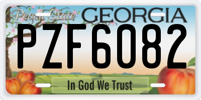 GA license plate PZF6082