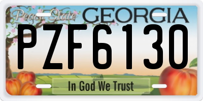 GA license plate PZF6130
