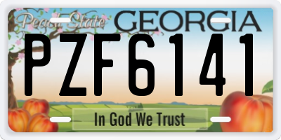 GA license plate PZF6141
