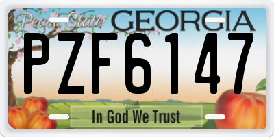 GA license plate PZF6147