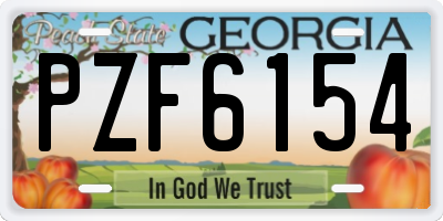 GA license plate PZF6154