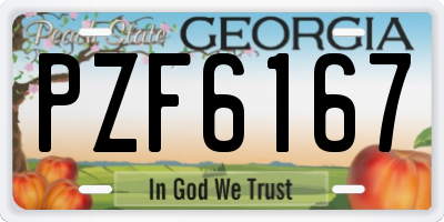 GA license plate PZF6167