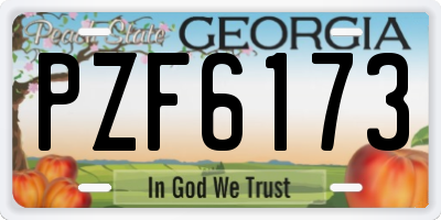 GA license plate PZF6173