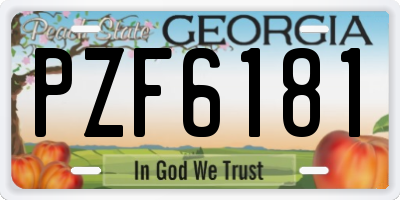 GA license plate PZF6181