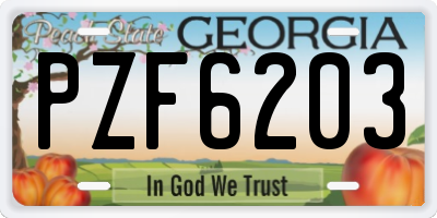 GA license plate PZF6203