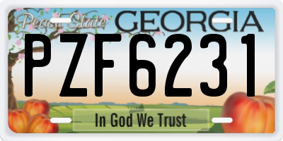 GA license plate PZF6231
